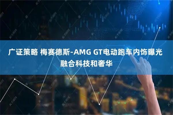 广证策略 梅赛德斯-AMG GT电动跑车内饰曝光 融合科技和奢华