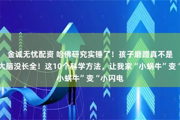 金诚无忧配资 哈佛研究实锤了！孩子磨蹭真不是懒，是大脑没长全！这10个科学方法，让我家“小蜗牛”变“小闪电