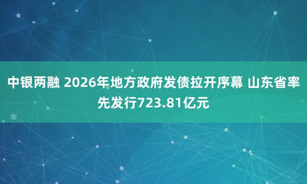 中银两融 2026年地方政府发债拉开序幕 山东省率先发行723.81亿元