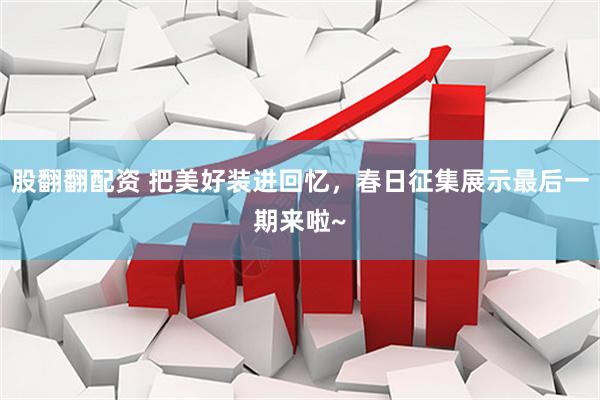 股翻翻配资 把美好装进回忆，春日征集展示最后一期来啦~